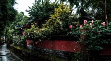 廈門深度游攻略:文藝與歷史的交融之旅