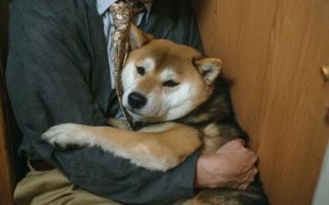尋找伴侶的新途徑:單身狗去馬來西亞嘗試一下!