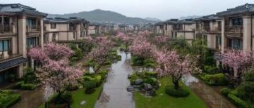 投資1.5億打造連江坂頂村：百年老宅煥新顏，靜謐古村新生記