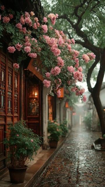 春季旅行推薦:揚(yáng)州之美不容錯(cuò)過(guò)