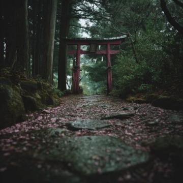 日本之行發(fā)現(xiàn)的三個(gè)有趣現(xiàn)象