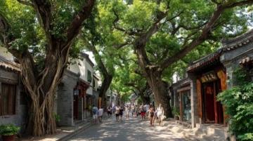 帶娃游長沙：避開人群慢享老街巷與文化風情