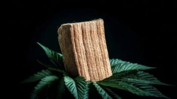 揭秘木皮:種類解析與特性詳解