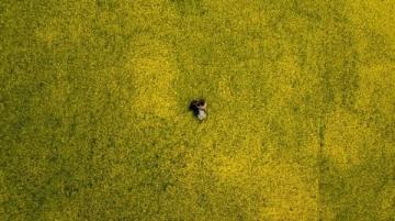 江南秘境：藏于古村中的油菜花海等你來探秘