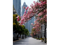 未做攻略別去濟南！深度游指南帶你領略泉城魅力