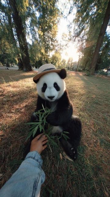 遛娃不費(fèi)媽！北京親子游攻略：5-6月來玩超合適，動(dòng)物園天文館必去