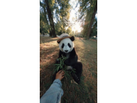遛娃不費(fèi)媽！北京親子游攻略：5-6月來玩超合適，動(dòng)物園天文館必去