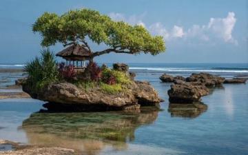 暑假西雙版納5日親子游攻略：人均1200元暢享雨林秘境