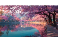 太湖畔櫻花盛宴：黿頭渚的三萬粉嫩之旅