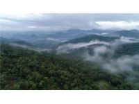這里高達(dá)95%的森林覆蓋率，空氣格外清新
