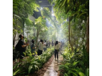 南寧旅游全攻略｜保姆級指南帶你玩轉(zhuǎn)綠城！收藏這篇就夠了