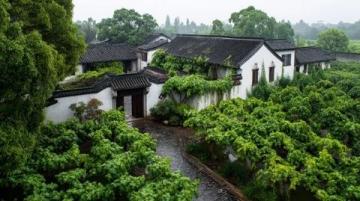 惠安中新花園：品味美食，傳承文化
