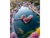 春天必游：英雄城南昌的花海湖光，22℃柔情等待您的心動瞬間