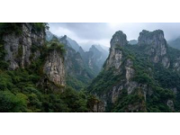 東港村探秘：老周羊圈與葛烏溝崖柏天坑之旅