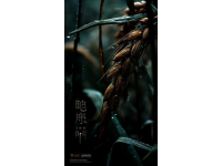 掌握農(nóng)業(yè)諺語：立秋雨水喜，處暑雨憂愁
