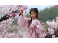 河南漯河桃花會(huì)：兒時(shí)記憶中最熱鬧的日子