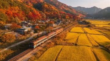 探尋桐廬大奇山美景與當地美食之旅