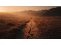 千里行穩(wěn)情滿旅程——小沃守護家庭旅途