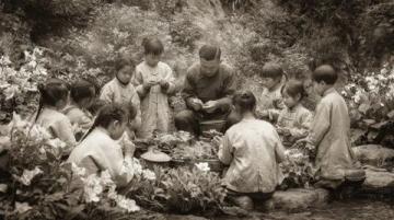 廣東佛山市高明區(qū)沙寮村:西江河鮮美食與田園風(fēng)光之旅