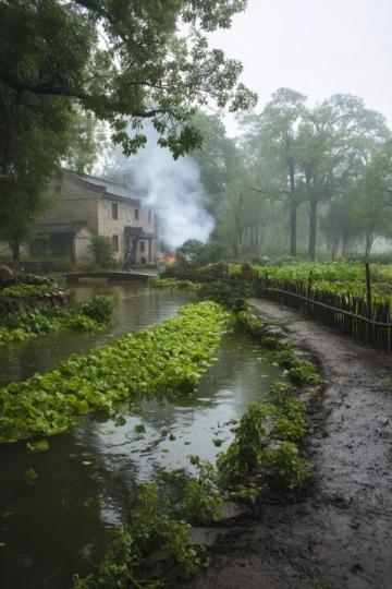 廣東佛山市高明區(qū)沙寮村:西江河鮮美食與田園風(fēng)光之旅