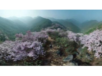 五一黃金周旅行指南：自然探險(xiǎn)、歷史文化與都市魅力不可錯(cuò)過(guò)的好去處