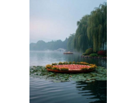 濟(jì)南大明湖攻略：四面荷花三面柳，盡賞湖光山色美景