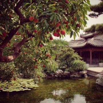 蘇州旅游指南：園林、古鎮(zhèn)與現(xiàn)代魅力的完美融合