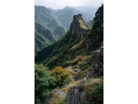 探索四會(huì)山珍美味指南