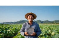 護苗行動2025：國學知識科普進行時