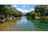 逃離都市喧囂，探索三岔河的自然美景與寧靜度假體驗