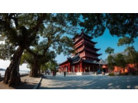 云南地域廣闊，景點豐富，以下為你推薦一條昆明-大理-麗江的三日游攻略