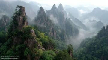 桂林精華一日游：象鼻山、王城歷史文化與迷人夜景全接觸