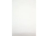 鴨血粉絲配泡泡餛飩，煙火氣里的美味絕配