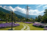 探索麗水：跟隨全球博主足跡，領略別樣風光