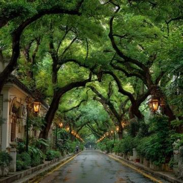 廈門三天游攻略：鼓浪嶼、植物園與環島路行程規劃