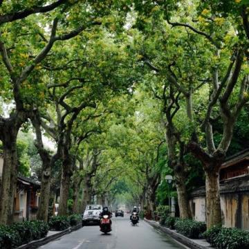 廈門三天游攻略：鼓浪嶼、植物園與環島路行程規劃