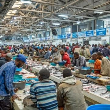 探索海洋美味：一次全球海鮮饕餮之旅