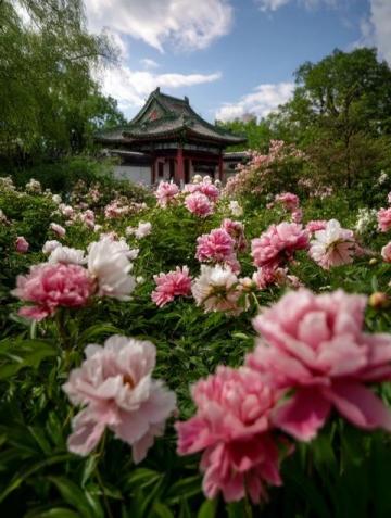 沈陽北陵公園深度游攻略：皇家園林探秘、打卡勝地體驗全解析