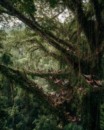 解鎖砂拉越雨林音樂節(jié)全攻略世界級(jí)音樂盛宴不容錯(cuò)過！