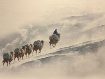 寧夏中衛(wèi)之行