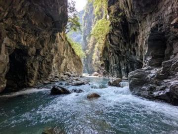 四天在神農架一個景點也沒有去