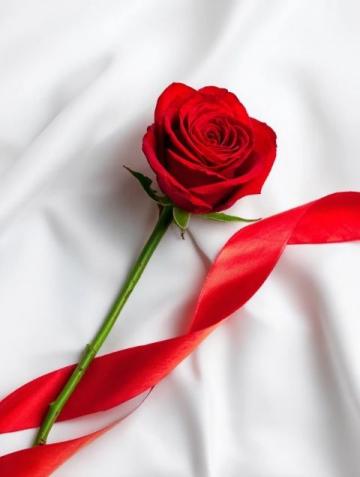 你能為這句詩續出下聯嗎