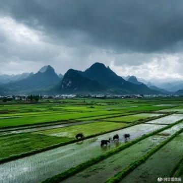 桂林兩日游精華玩法指南:經典與小眾景點全攻略