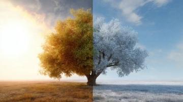 從酷寒到炎熱: 16度至32度的溫度轉(zhuǎn)變