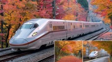 D4新干線之旅體驗