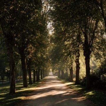 夏季戶外徒步推薦：多條林蔭遮陽路線等你探索