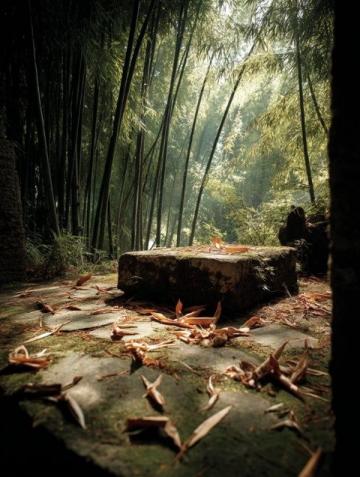 探尋深圳梧桐山：融合自然之美的人文秘境