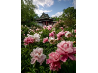 沈陽北陵公園深度游攻略：皇家園林探秘、打卡勝地體驗全解析