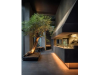 星河萬麗軒：設計精美的高端中餐廳體驗