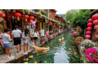 景德鎮旅游攻略自助游(景德鎮旅游攻略)